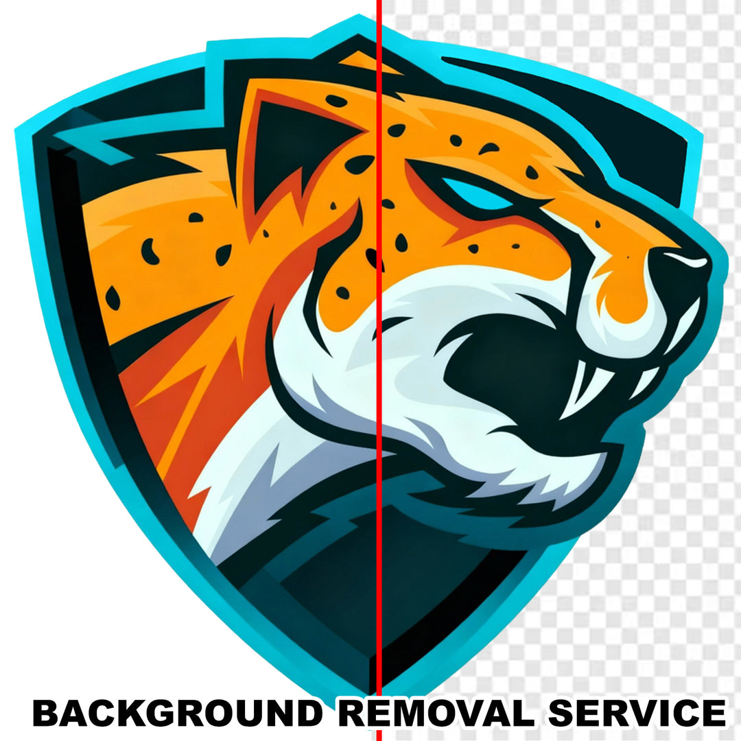 Background Removal
