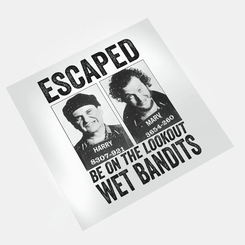 Christmas Movies: Wet Bandits - DTF Transfer - Direct-to-Film