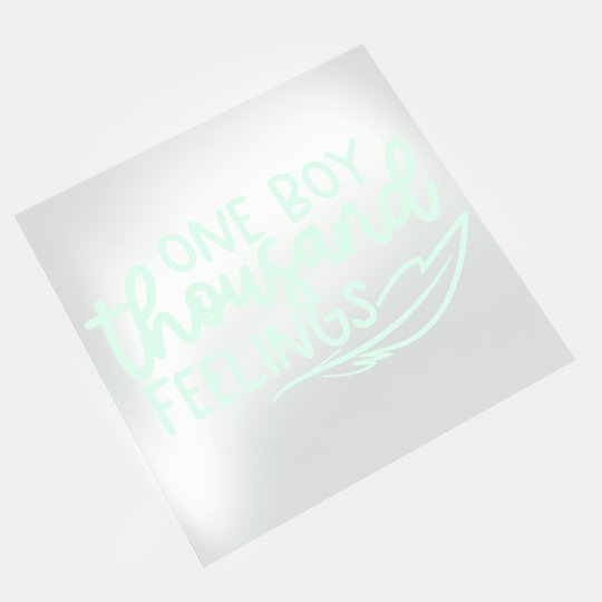 Baby Sayings: One Boy Thousand Feelings - DTF Transfer - Direct-to-Film