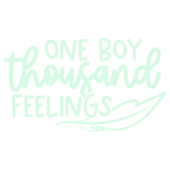 Baby Sayings: One Boy Thousand Feelings - DTF Transfer - Direct-to-Film